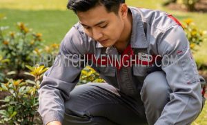 lắp đặt máy bơm nước quận 12