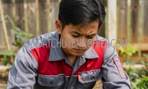 lắp đặt máy bơm nước quận tân phú giá rẻ
